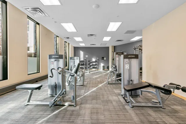 $2,995 | 1240 South 2nd Street, Unit 225, Minneapolis, MN 55415