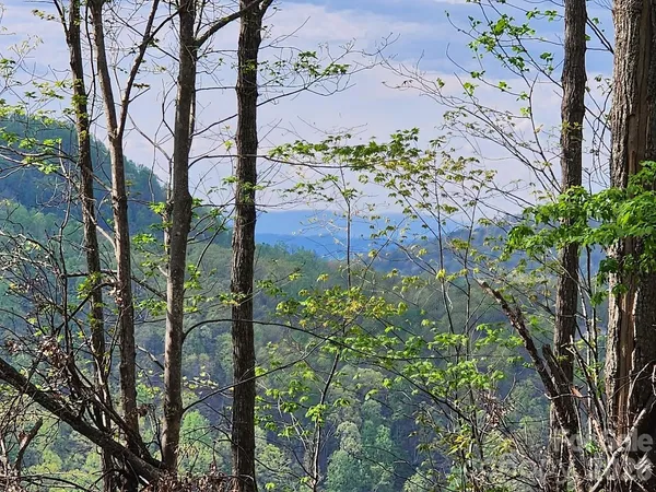 $19,500 | 79 Longview Trail, Bostic, NC 28018