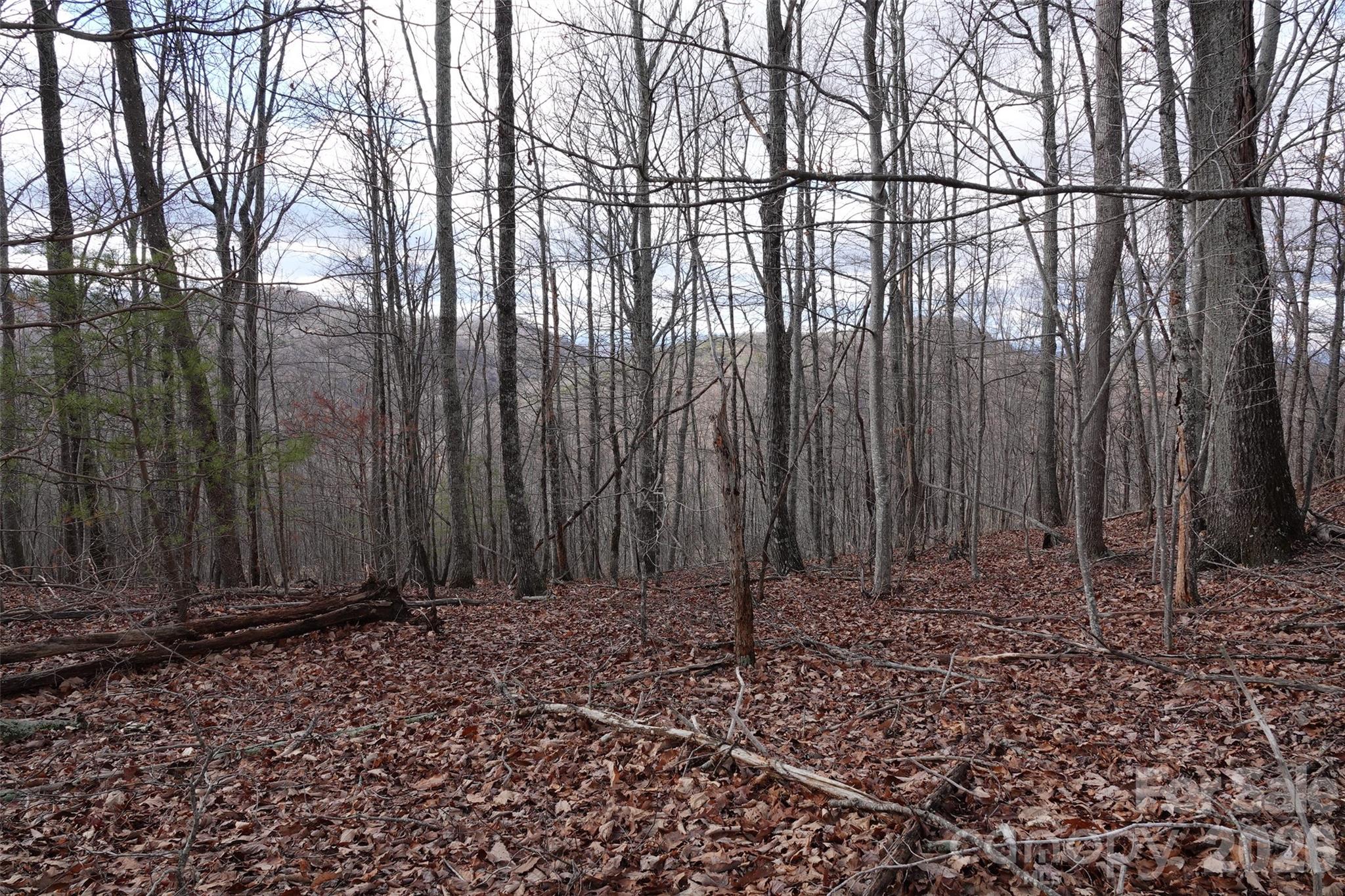 79 Longview Trail Bostic, NC 28018 - Photo 11 of 36