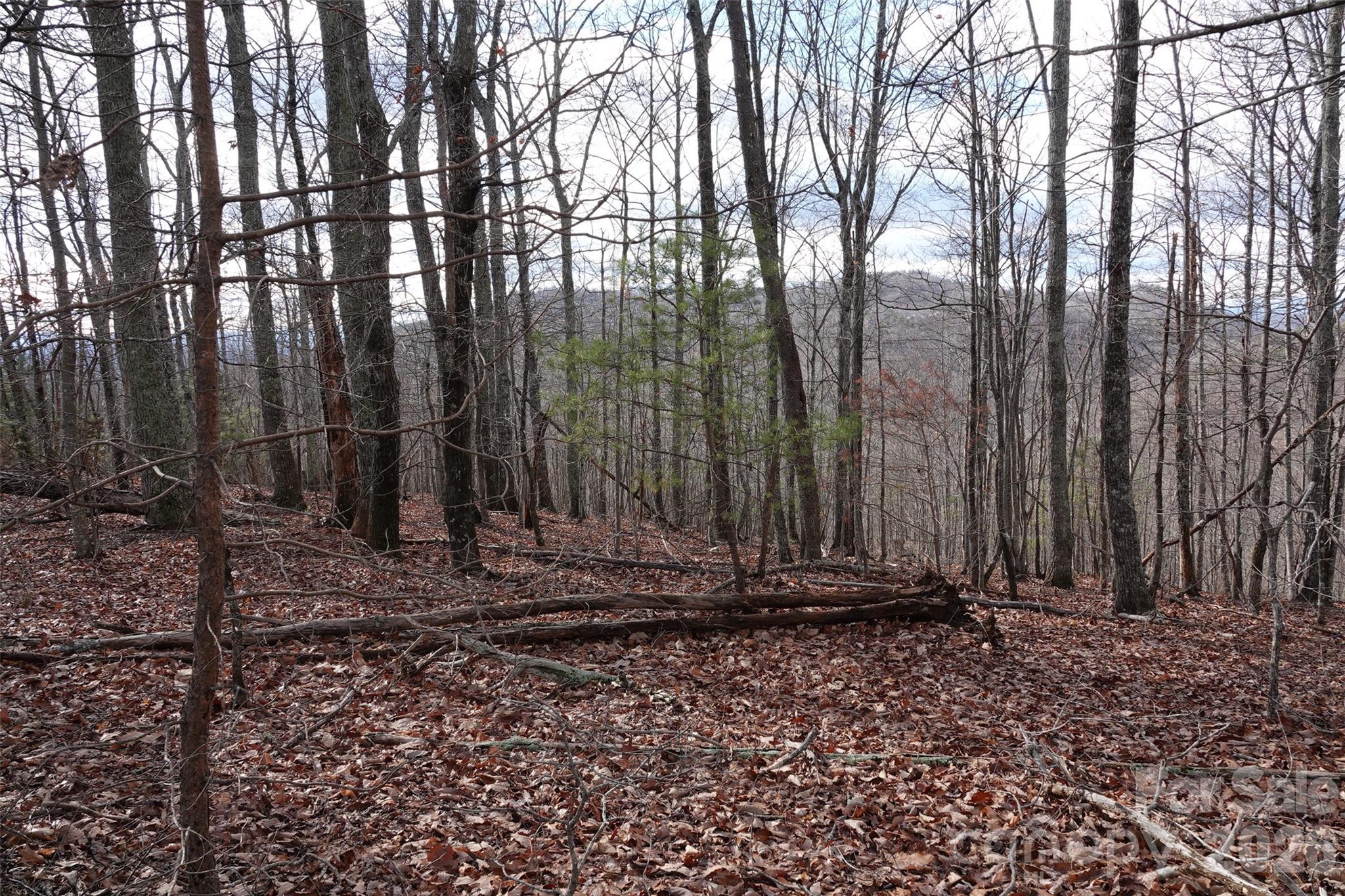 79 Longview Trail Bostic, NC 28018 - Photo 13 of 36