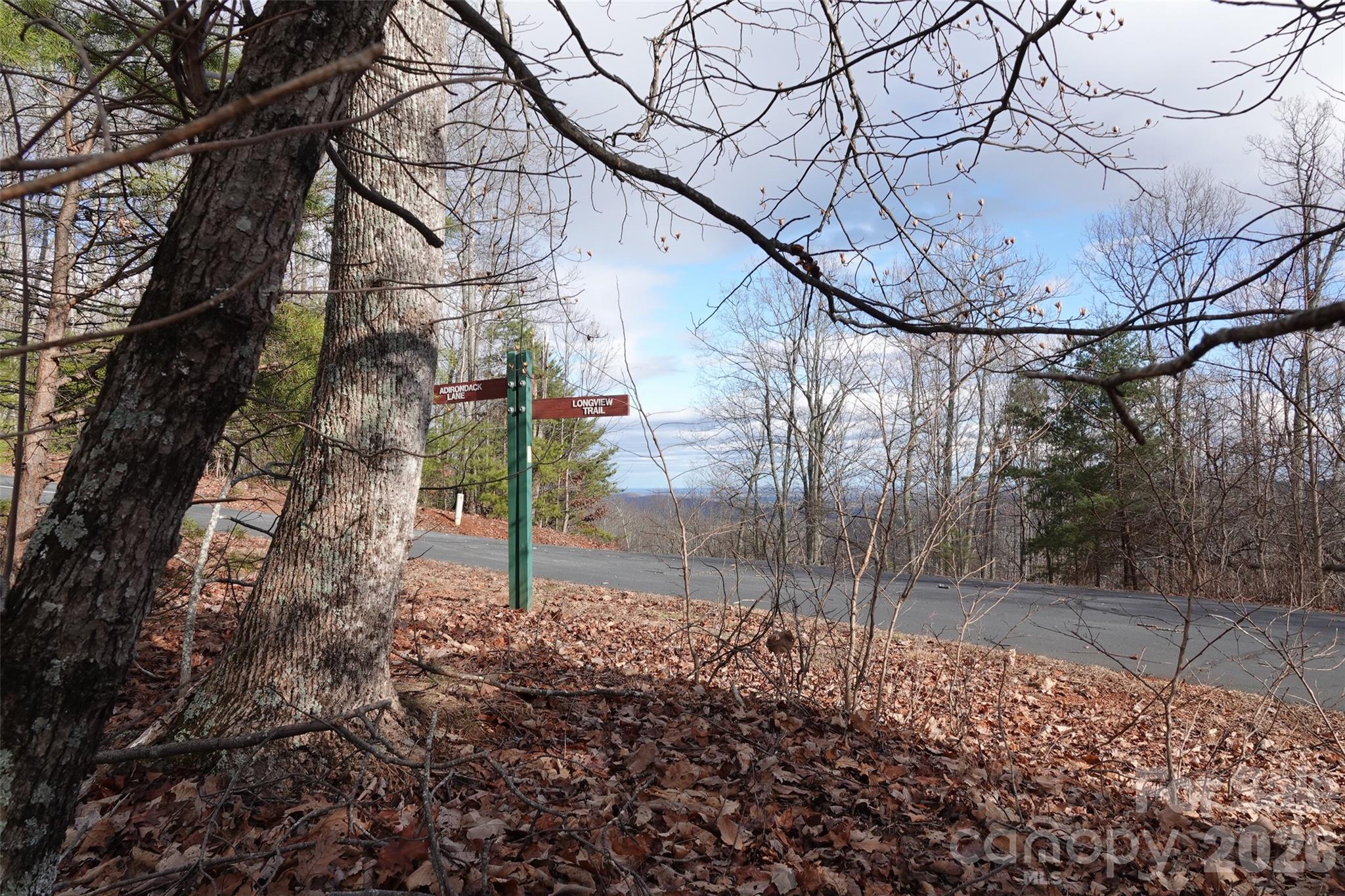 79 Longview Trail Bostic, NC 28018 - Photo 14 of 36