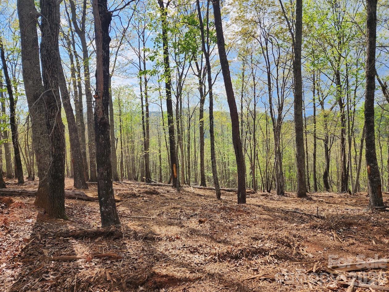 79 Longview Trail Bostic, NC 28018 - Photo 2 of 36