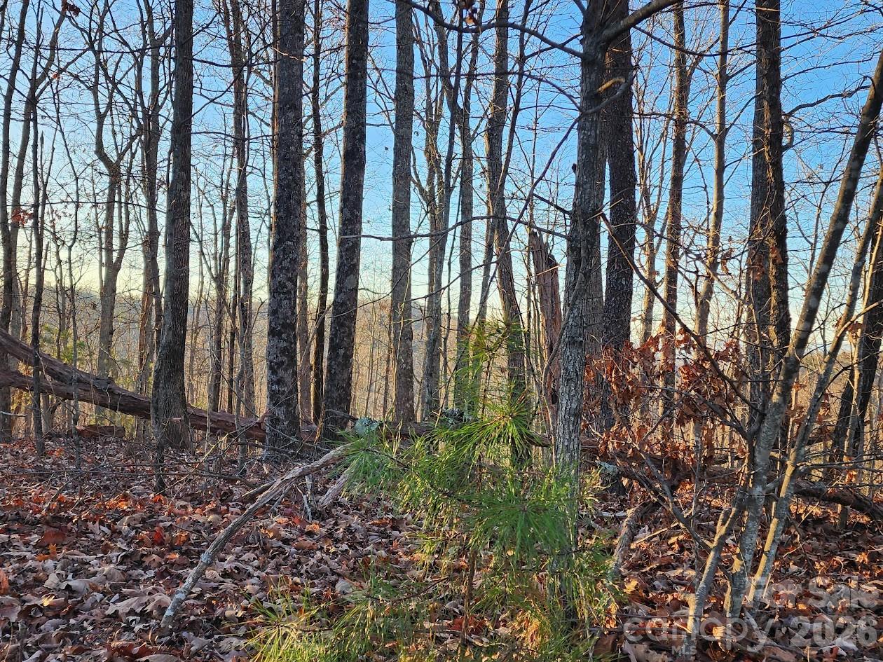 79 Longview Trail Bostic, NC 28018 - Photo 29 of 36