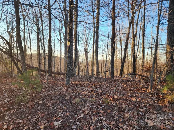 a view of a backyard of the house