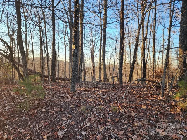 a view of a backyard of the house