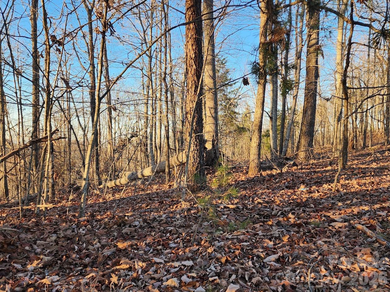 79 Longview Trail Bostic, NC 28018 - Photo 30 of 36