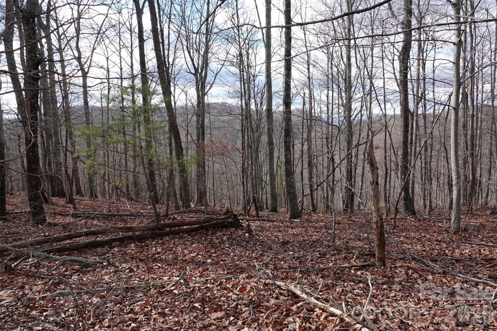 79 Longview Trail Bostic, NC 28018 - Photo 3 of 36