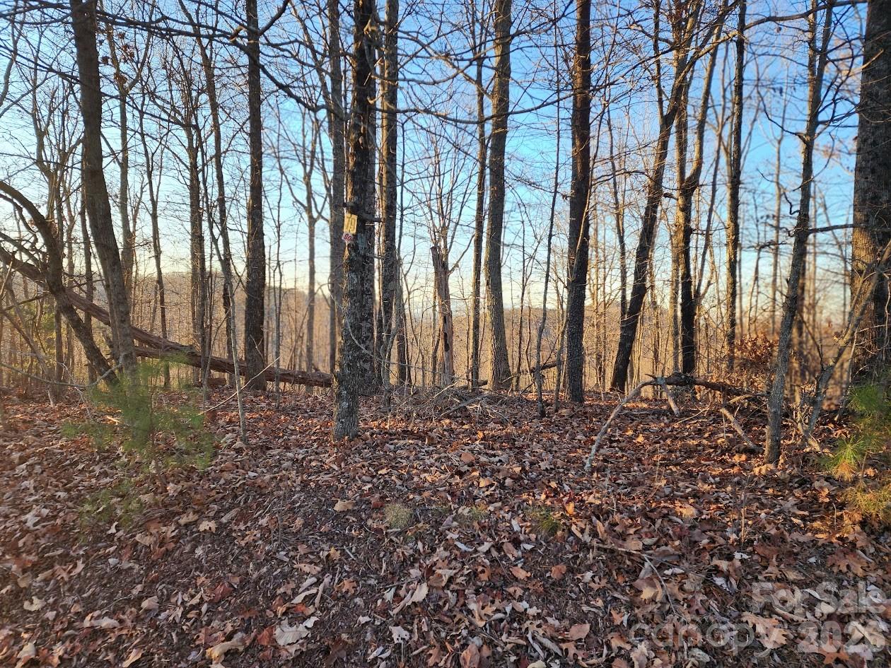 79 Longview Trail Bostic, NC 28018 - Photo 31 of 36