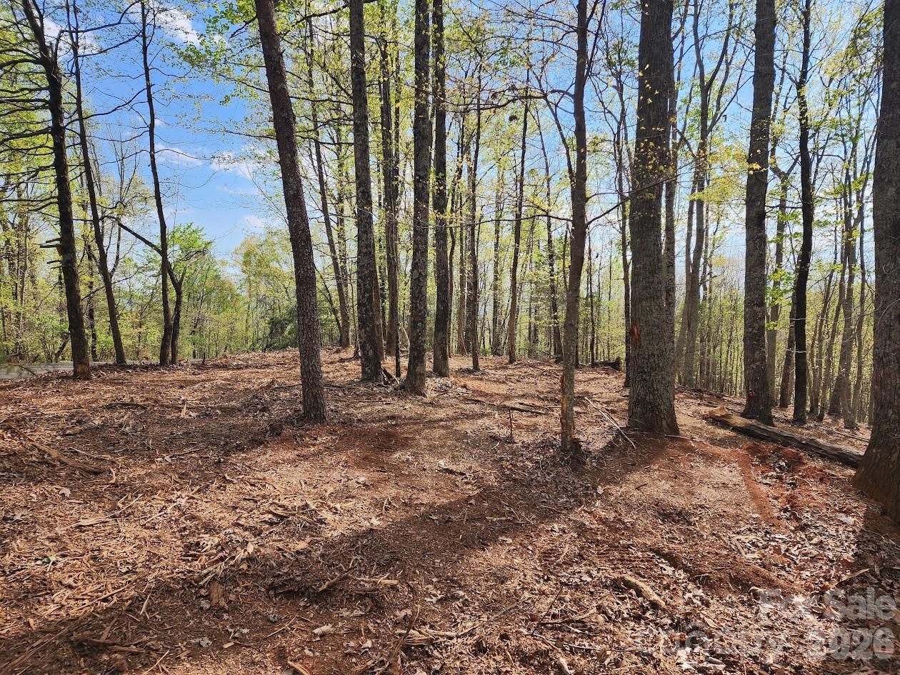 79 Longview Trail Bostic, NC 28018 - Photo 32 of 36