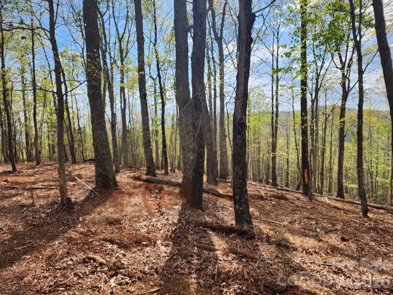 79 Longview Trail Bostic, NC 28018 - Photo 33 of 36