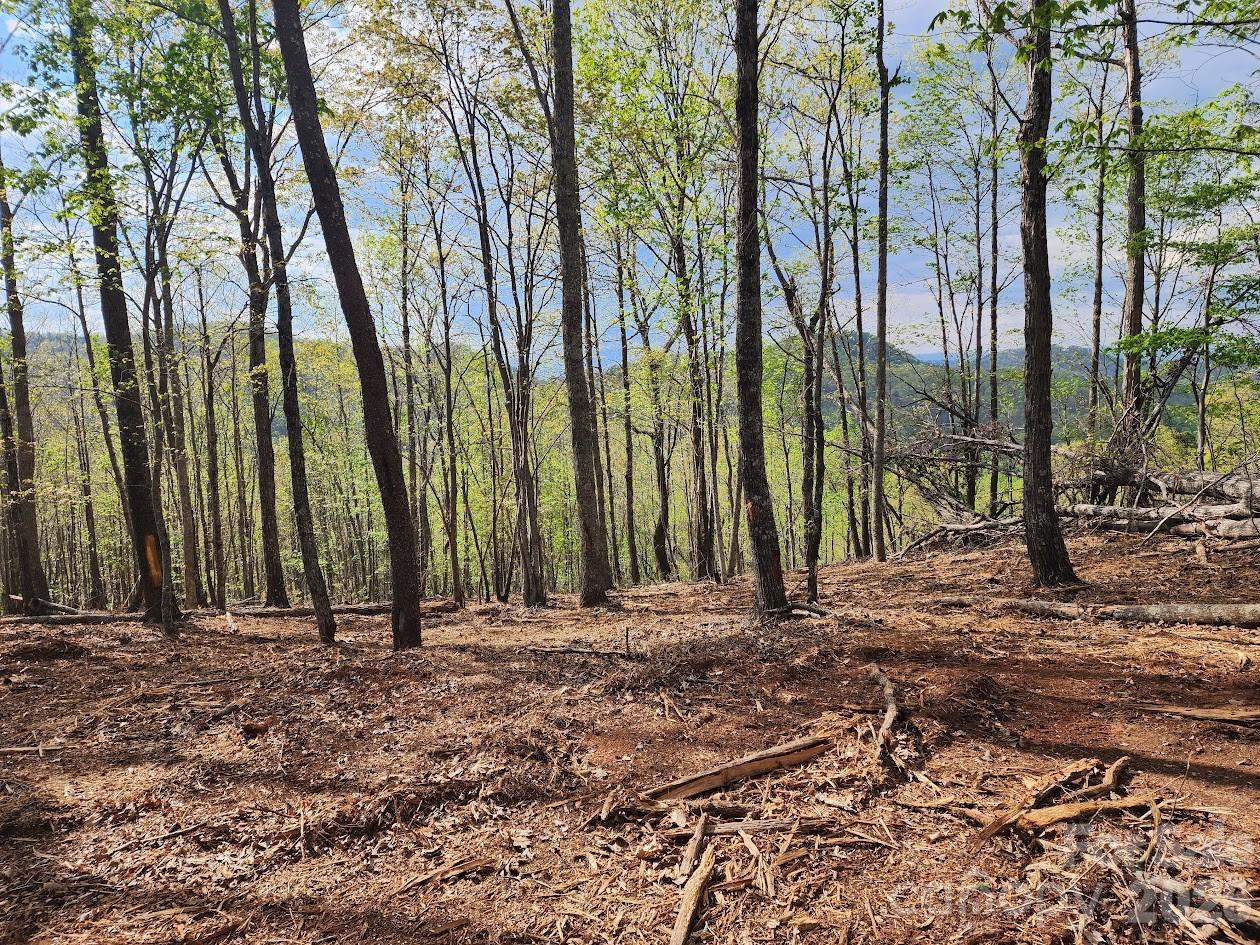 79 Longview Trail Bostic, NC 28018 - Photo 34 of 36