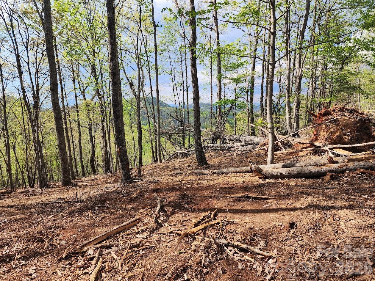 79 Longview Trail Bostic, NC 28018 - Photo 35 of 36