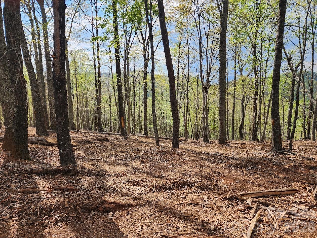 79 Longview Trail Bostic, NC 28018 - Photo 36 of 36