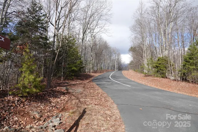 a view of a yard with tree s