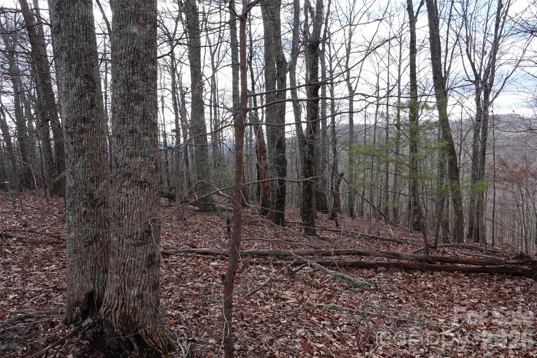 79 Longview Trail Bostic, NC 28018 - Photo 5 of 36