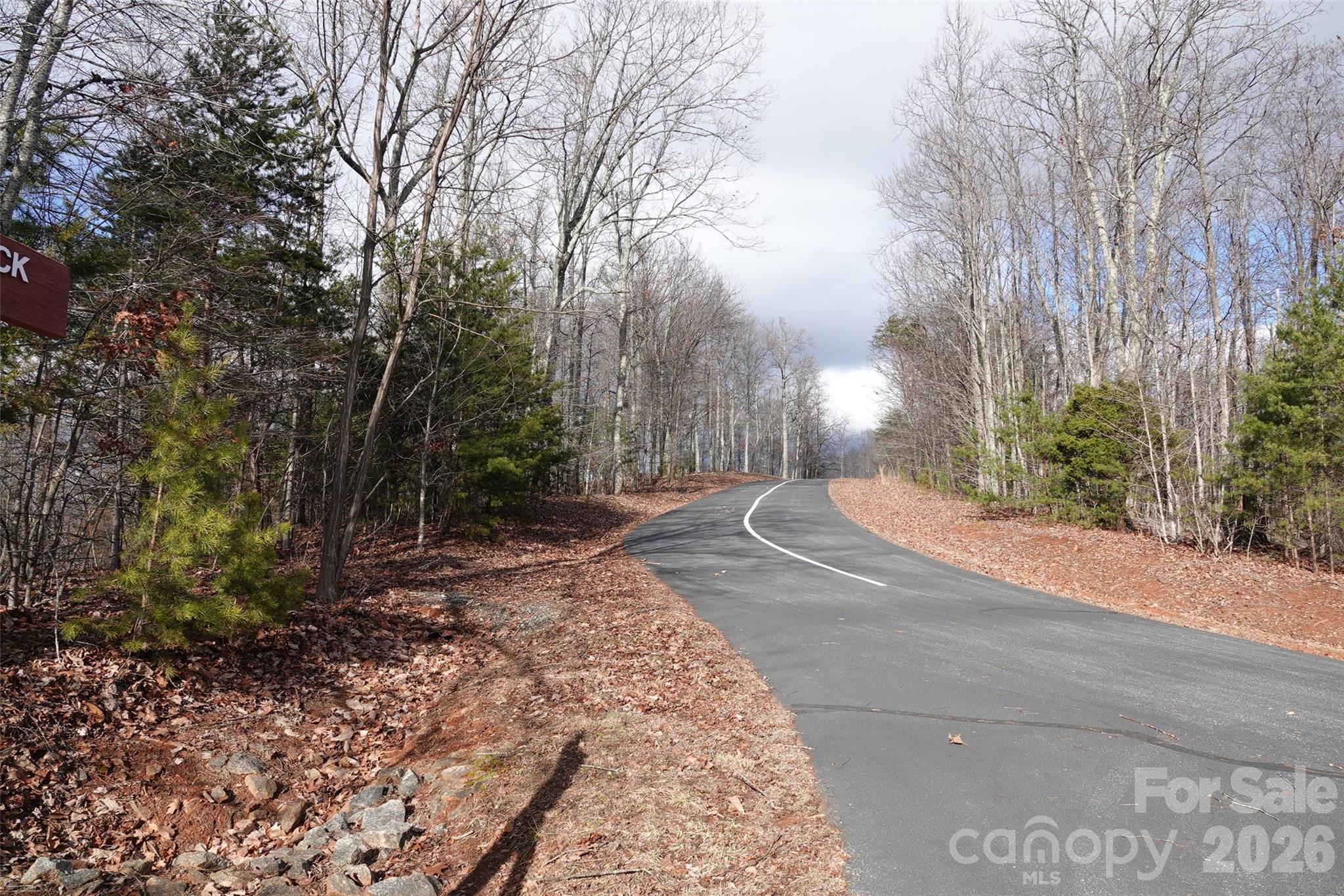 79 Longview Trail Bostic, NC 28018 - Photo 6 of 36