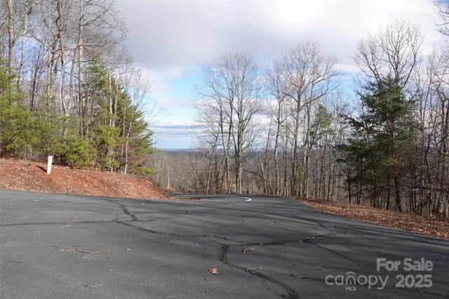 a view of road and trees