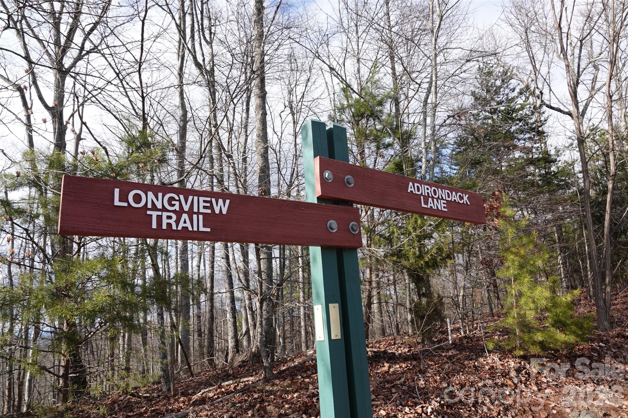 79 Longview Trail Bostic, NC 28018 - Photo 7 of 36