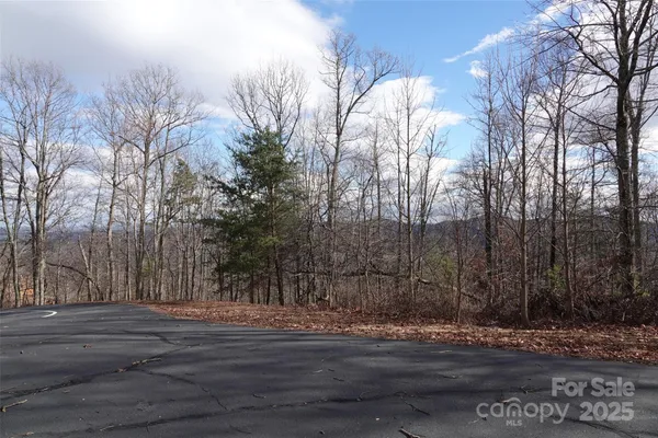 a view of a yard with a snow