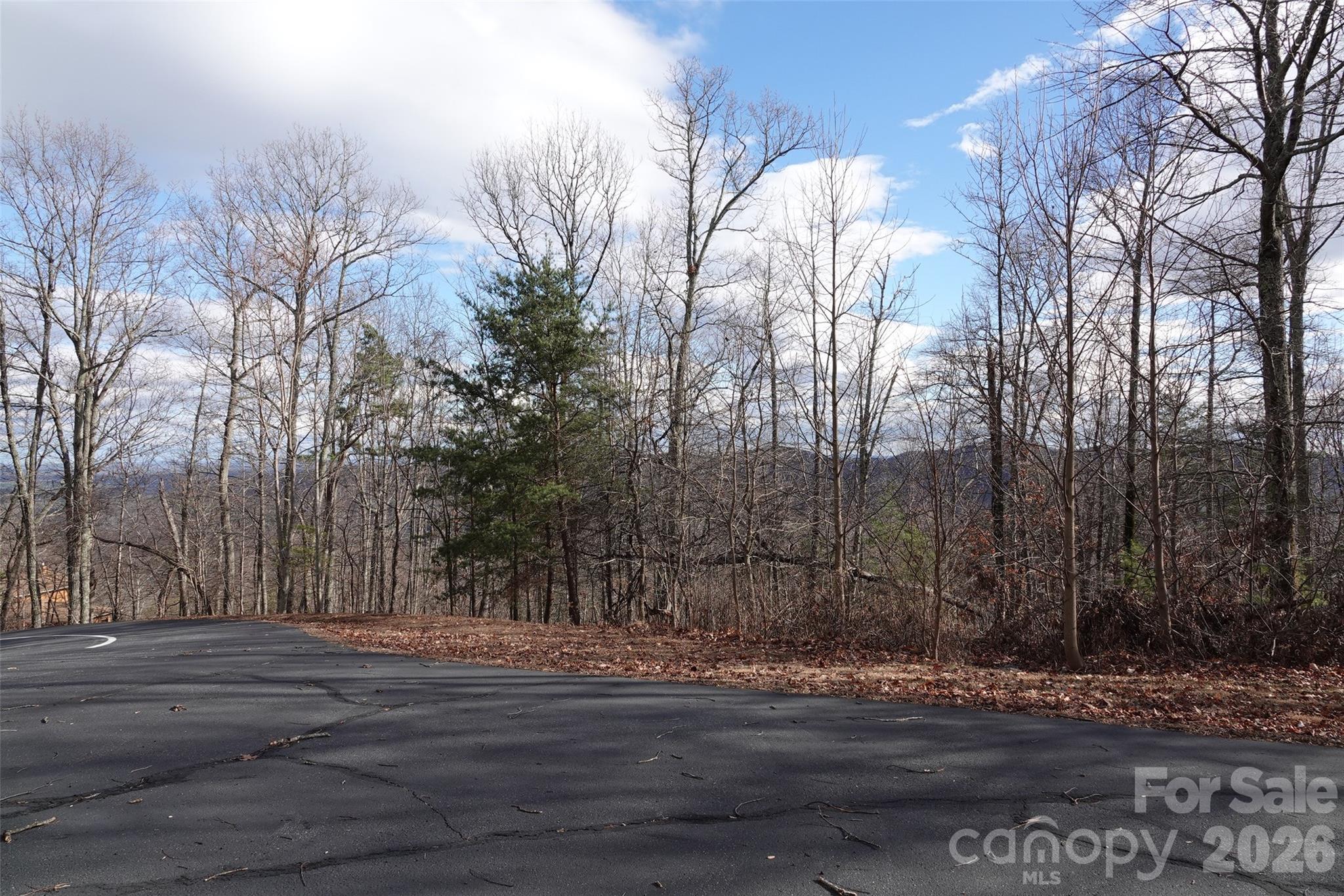 79 Longview Trail Bostic, NC 28018 - Photo 9 of 36