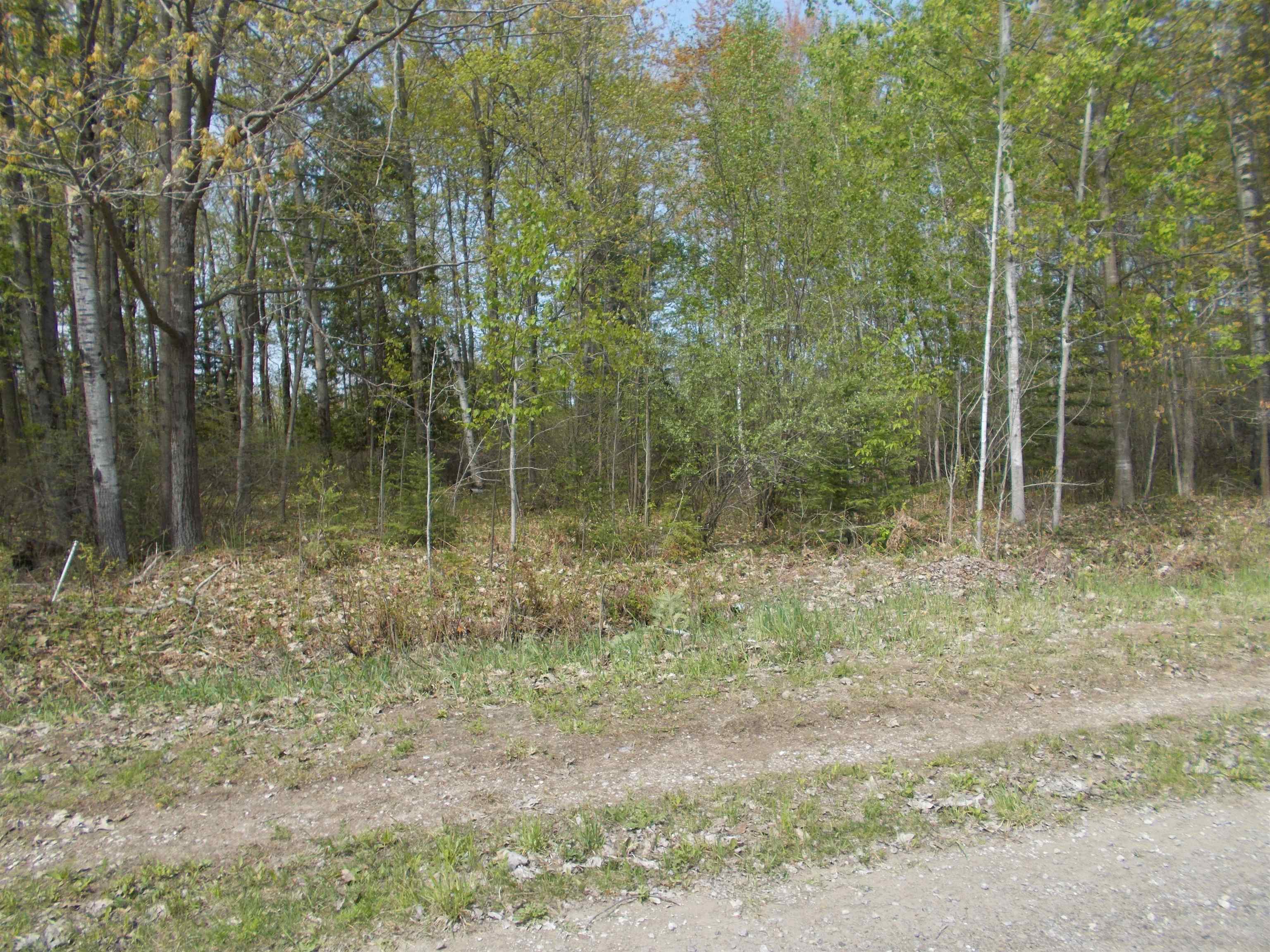 2995 Maple Road Hale, MI 48739 - Photo 5 of 19