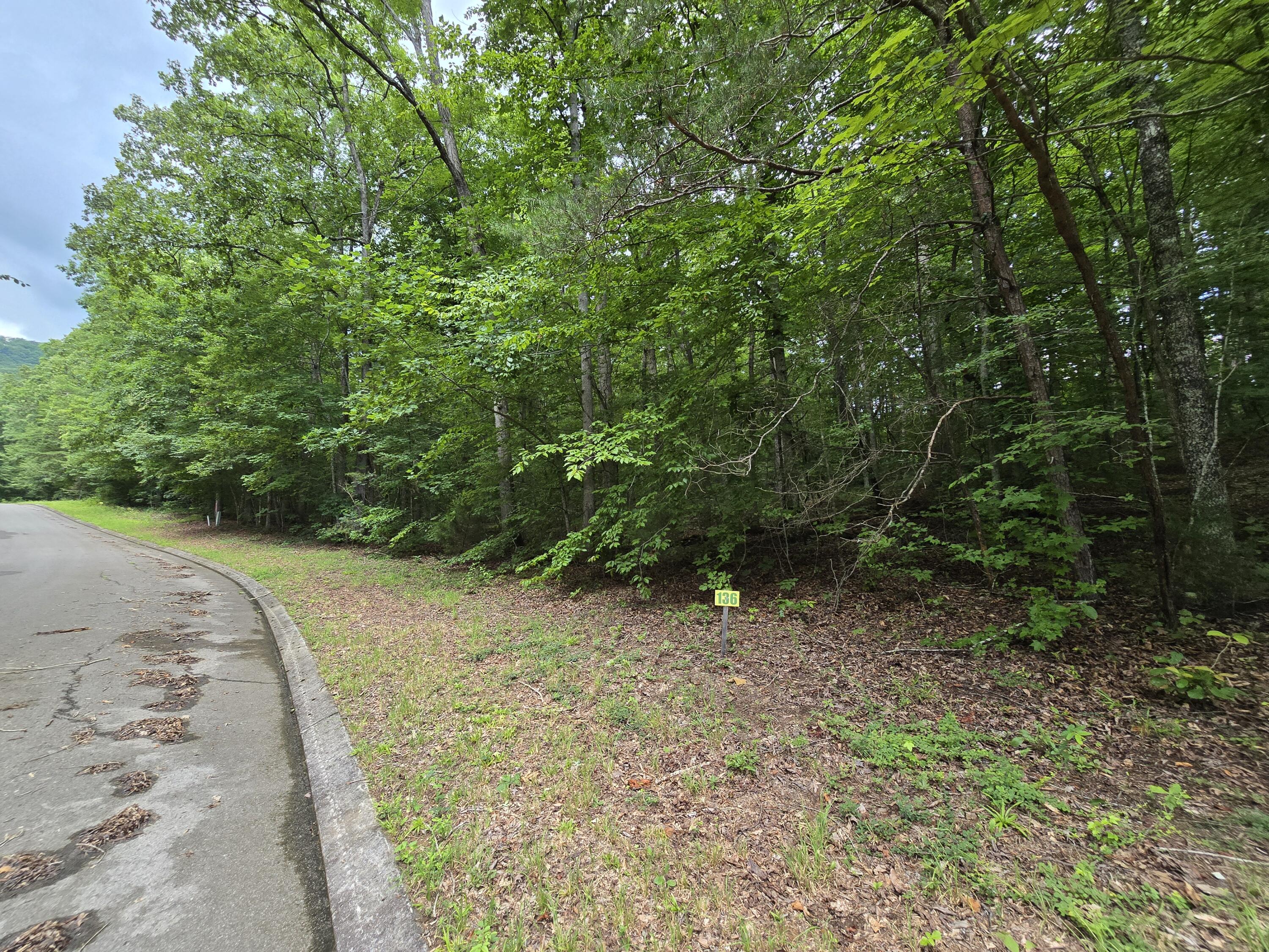 Lot 136 Lower Brow Road Dunlap, TN 37327 - Photo 3 of 8 20260716_154251