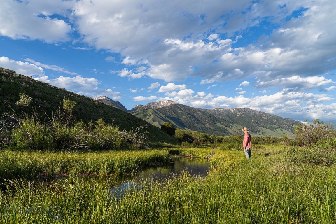 Tbd Tbd Madison River Ranch Cameron, MT 59720 - Photo 16 of 27 Gallery Image 16