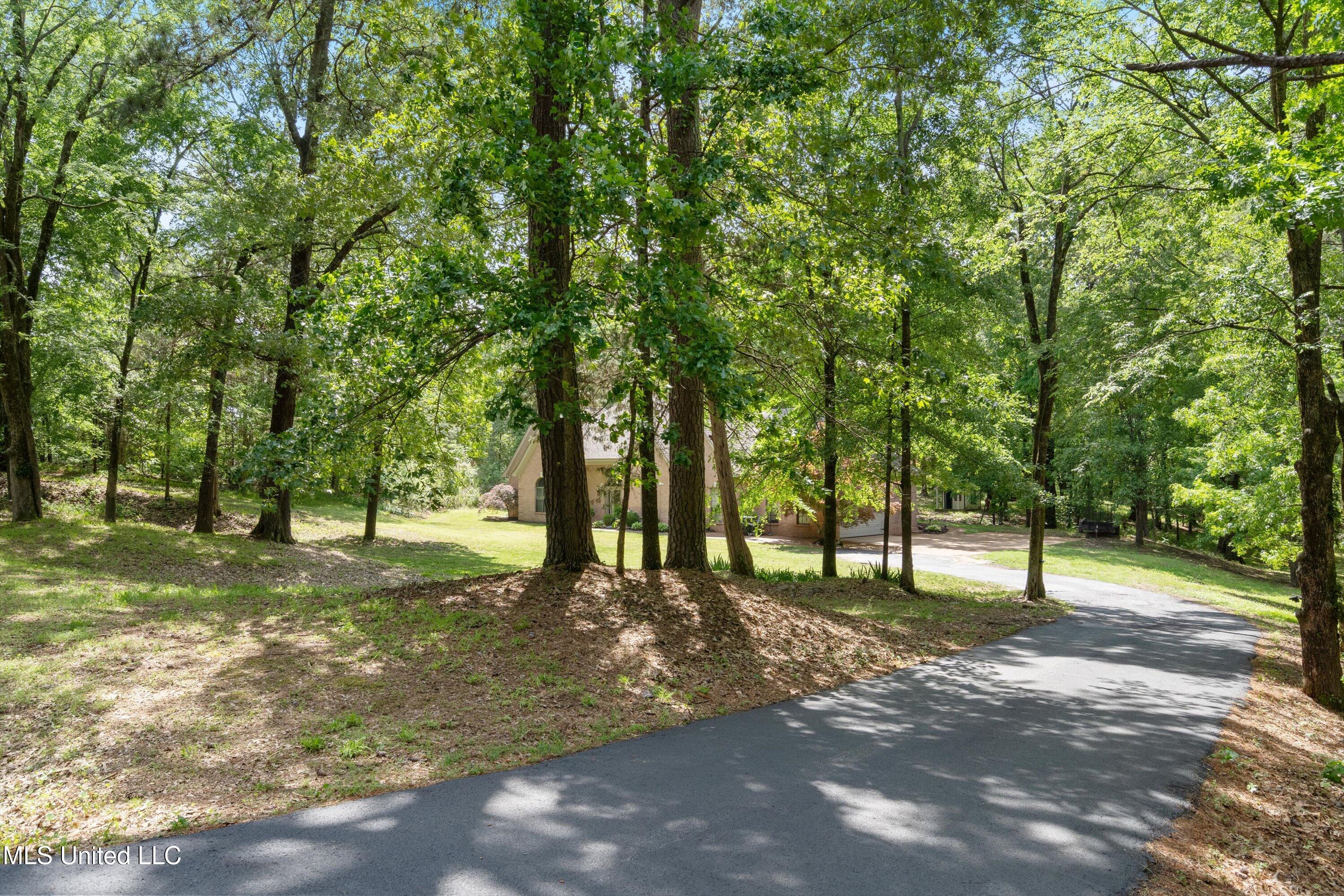 5135 Windy Ridge Drive Southaven, MS 38671 - Photo 37 of 37 Drive