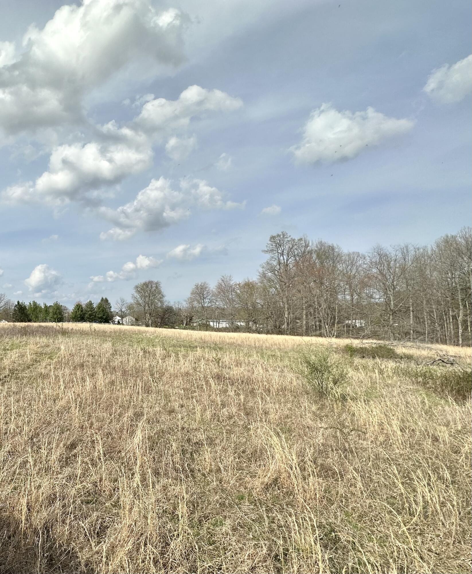 9999 Hutton Lane Corbin, KY 40701 - Photo 6 of 9 E277725B-57D3-4AB1-89A9-6205E2B70C83