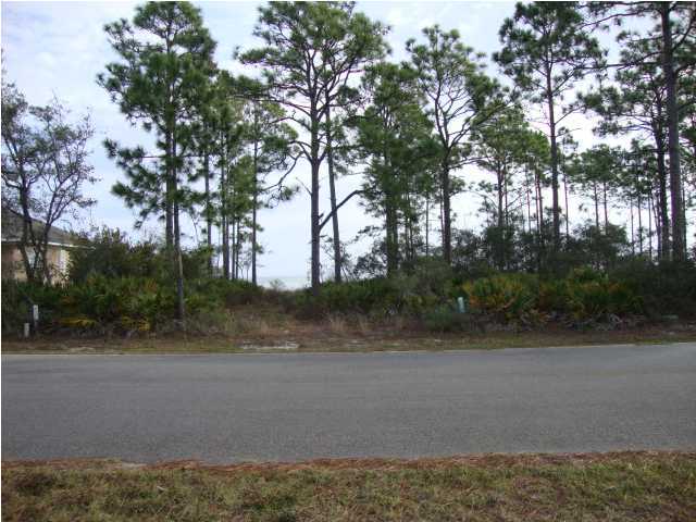 L-9-b-i Driftwood Point Road Santa Rosa Beach, FL 32459 - Photo 3 of 3 a view of a yard
