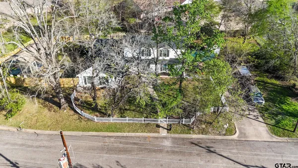a view of a yard with plants