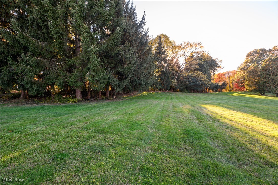 1320 Perry Drive Northwest Canton, OH 44708 - Photo 33 of 34 View of yard