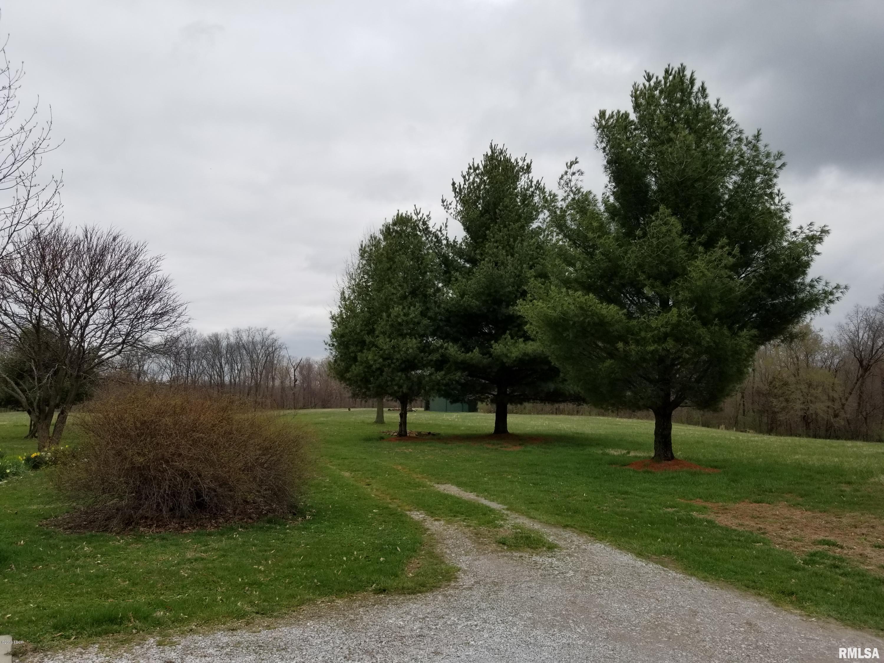 441 Country Trace Road Carbondale, IL 62903 - Photo 4 of 50