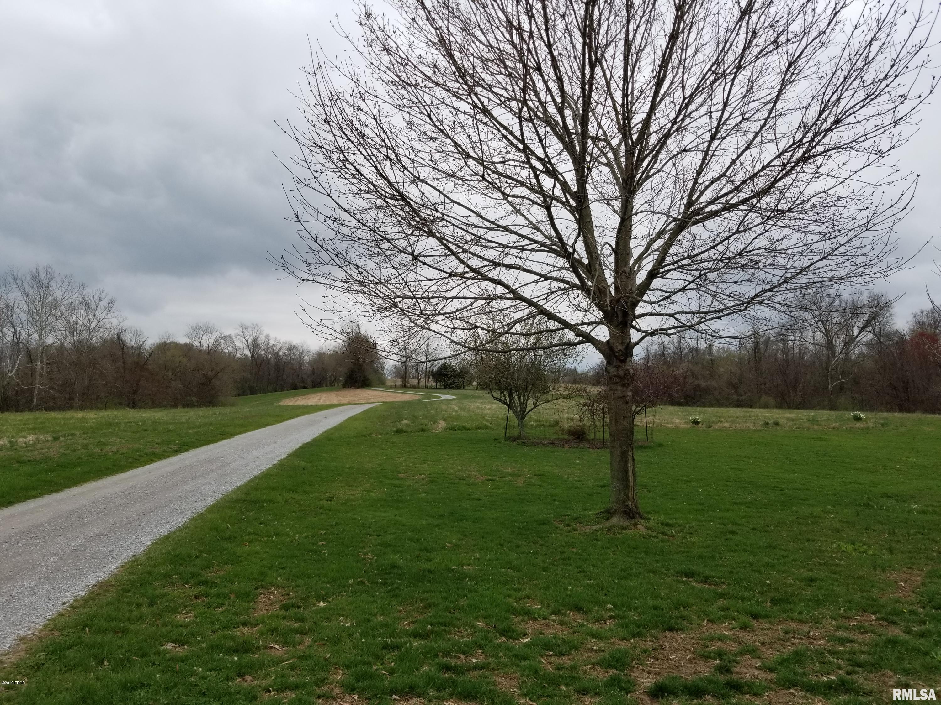 441 Country Trace Road Carbondale, IL 62903 - Photo 5 of 50