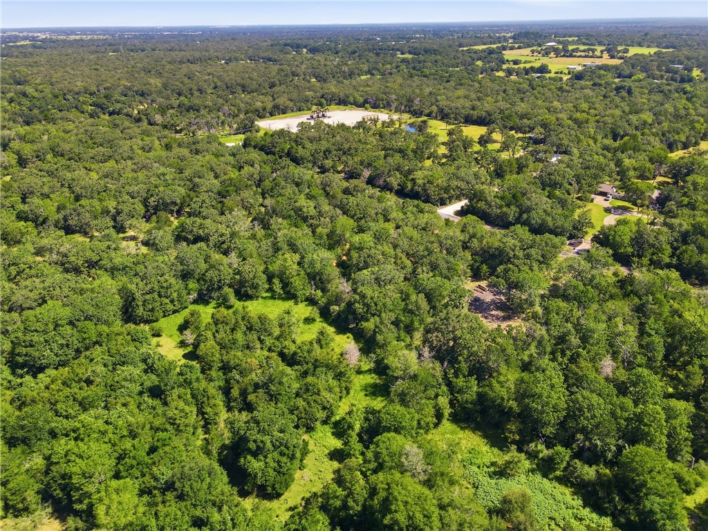 Tbd Grassbur Road Bryan, TX 77808 - Photo 18 of 18