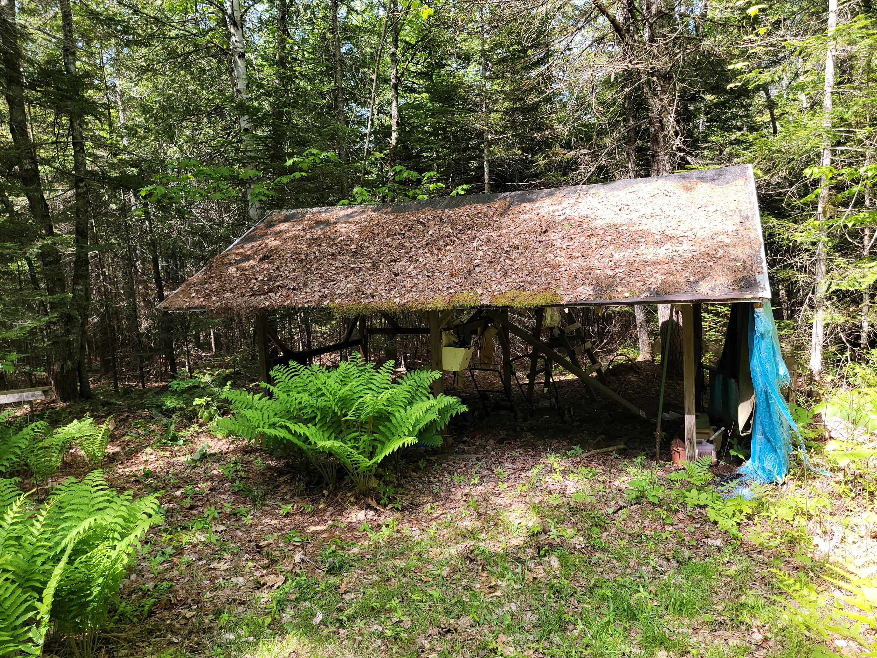 4709 Airline Road Wesley, ME 04686 - Photo 33 of 33 20220603_095237