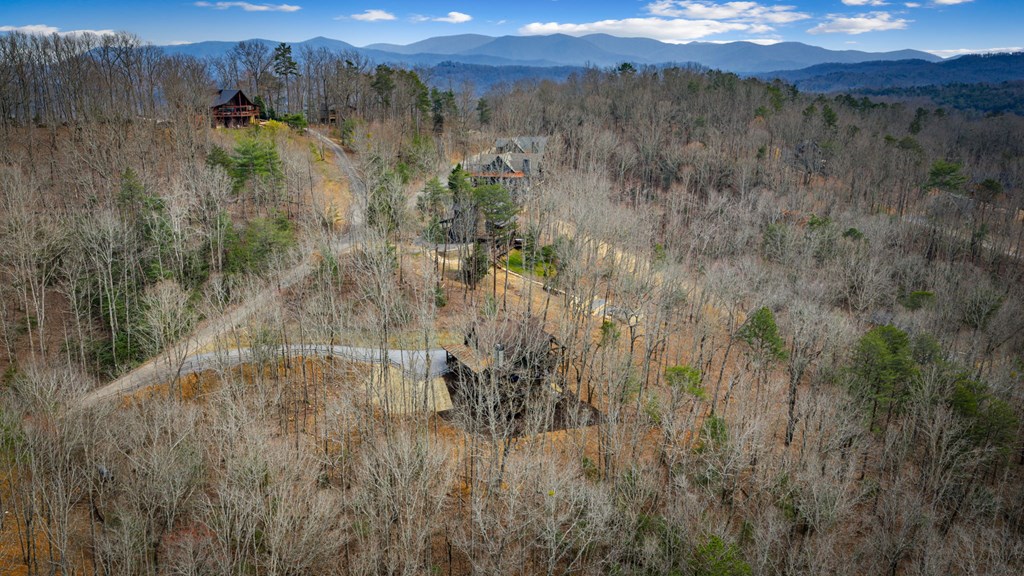 895 Price Road Blue Ridge, GA 30513 - Photo 123 of 140