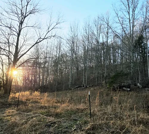 $200,000 | 2400 Chicken Creek Road, Pulaski, TN 38478