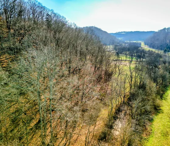 a view of an outdoor space and a yard