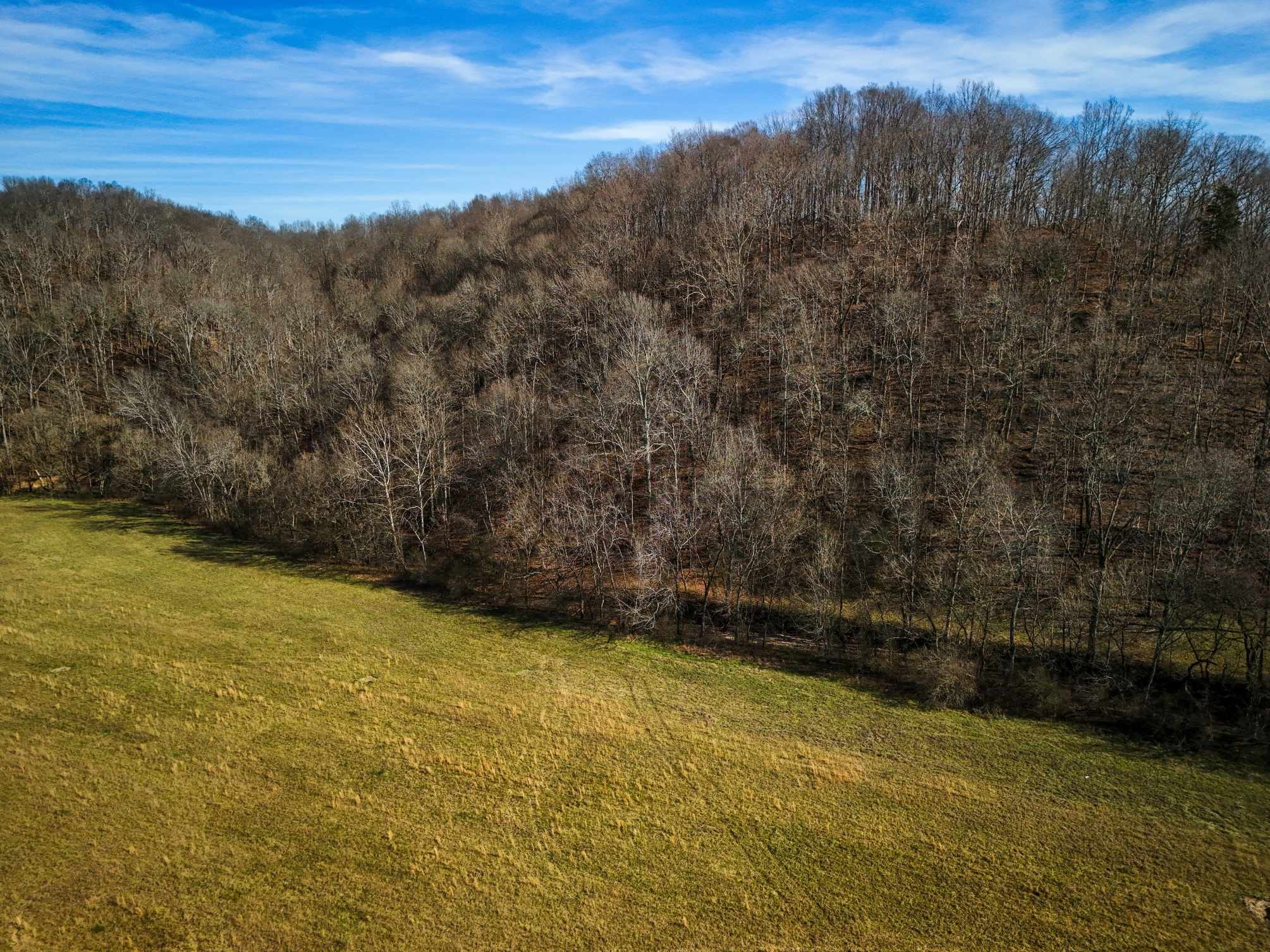 2400 Chicken Creek Road Pulaski, TN 38478 - Photo 12 of 28 a view of an outdoor space and a yard