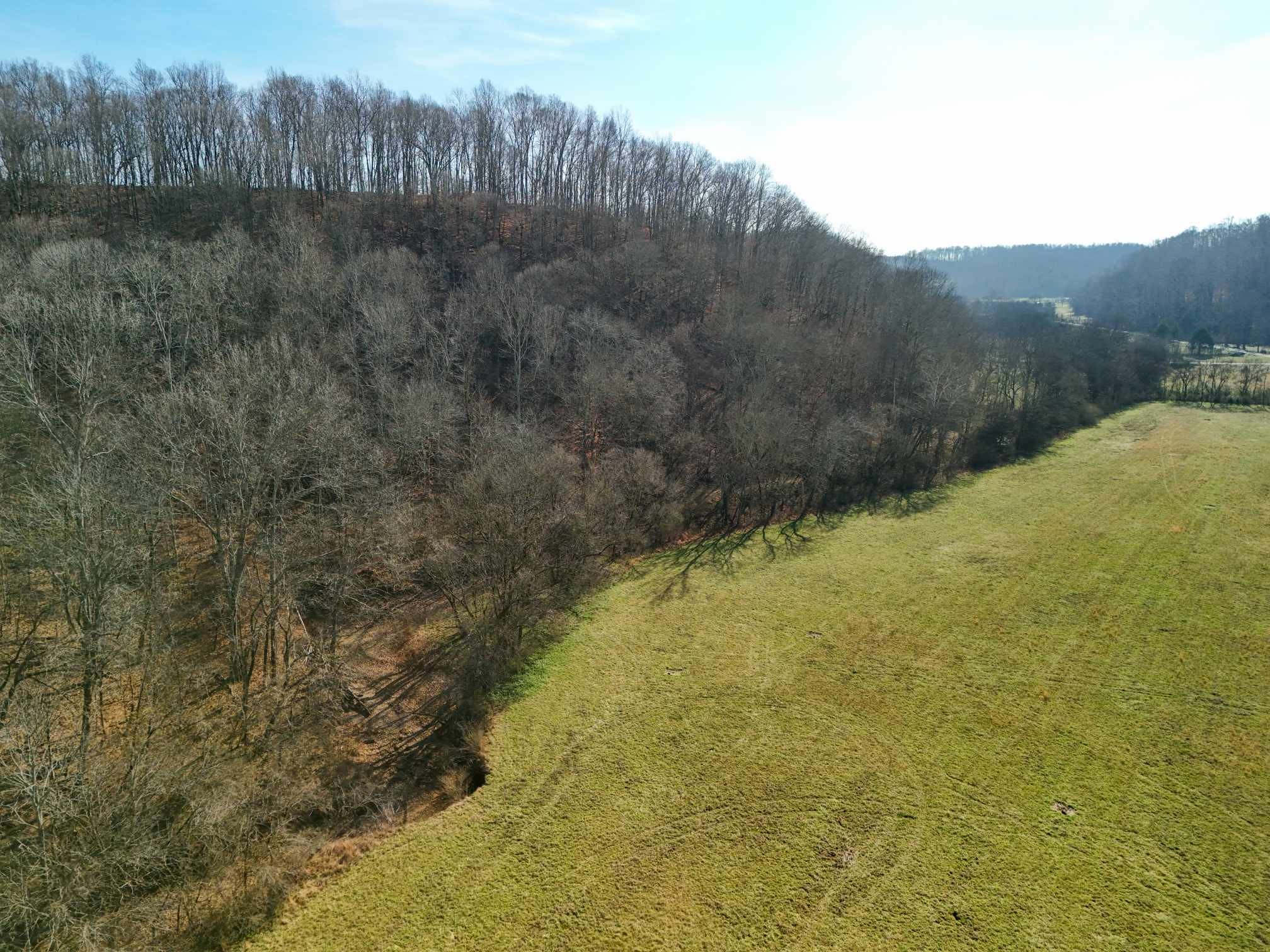 2400 Chicken Creek Road Pulaski, TN 38478 - Photo 13 of 28 a view of a yard with wooden fence