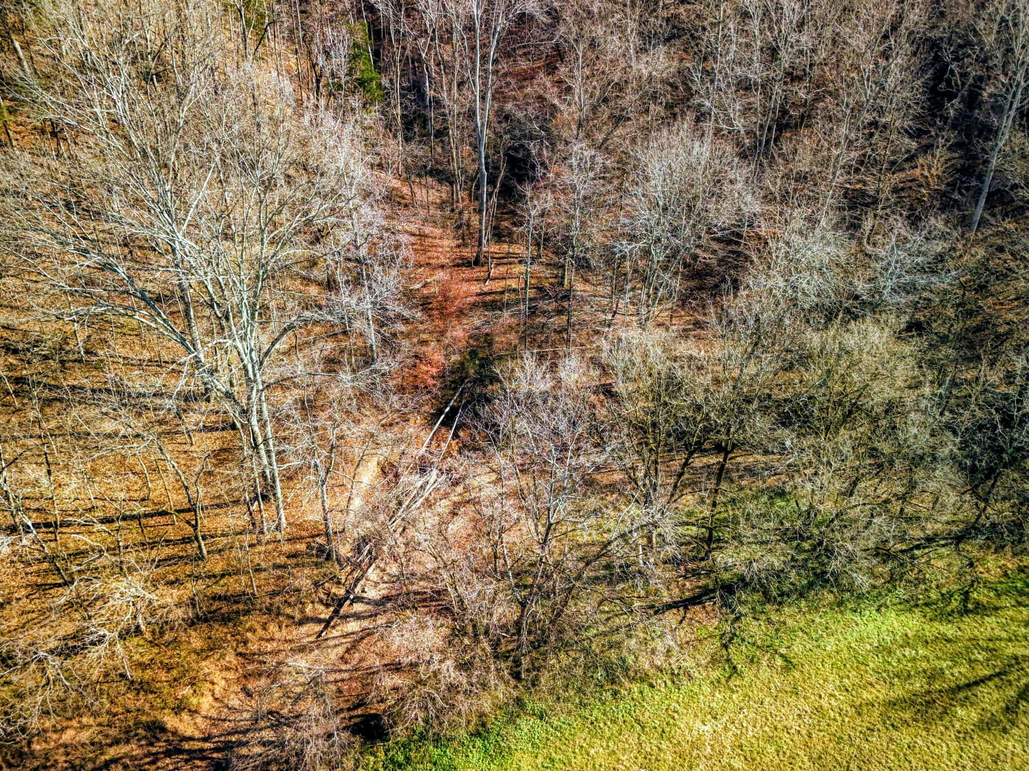 2400 Chicken Creek Road Pulaski, TN 38478 - Photo 15 of 28 a view of a yard