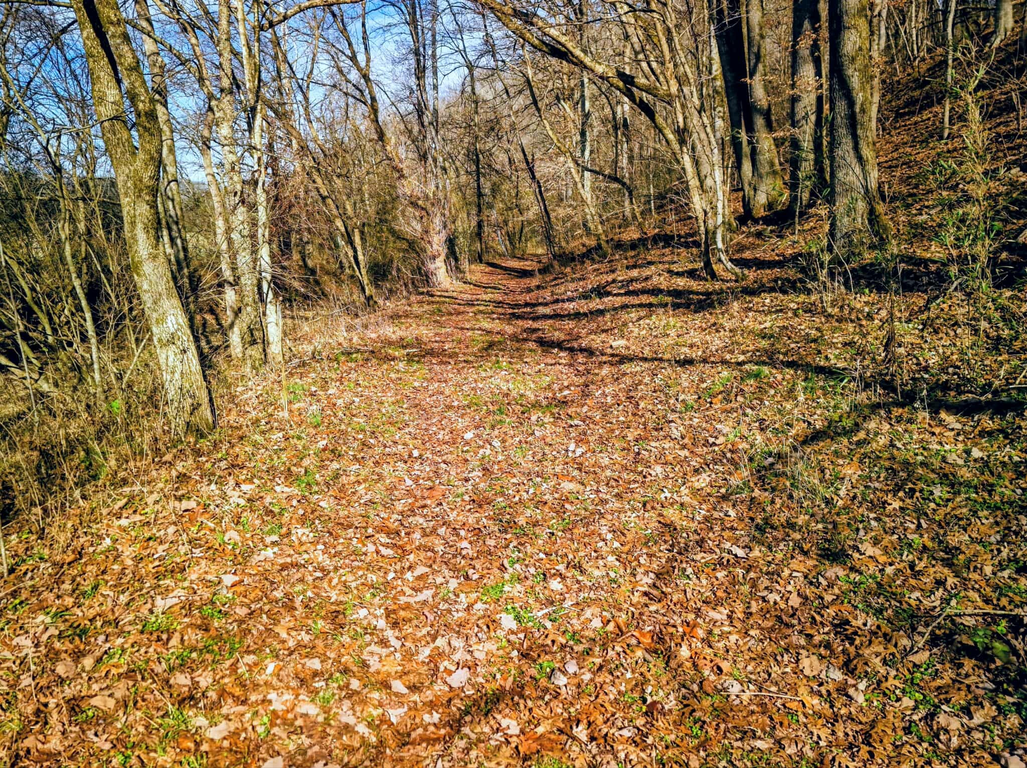 2400 Chicken Creek Road Pulaski, TN 38478 - Photo 16 of 28 a view of covered with wooden fence