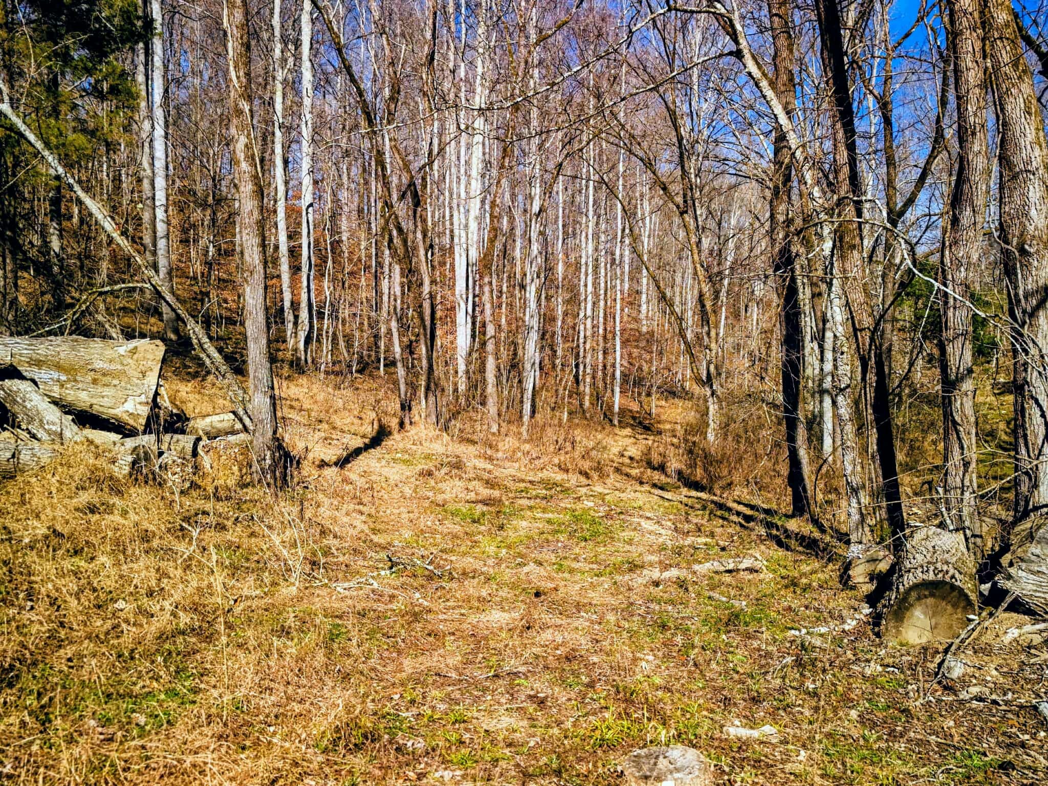 2400 Chicken Creek Road Pulaski, TN 38478 - Photo 17 of 28