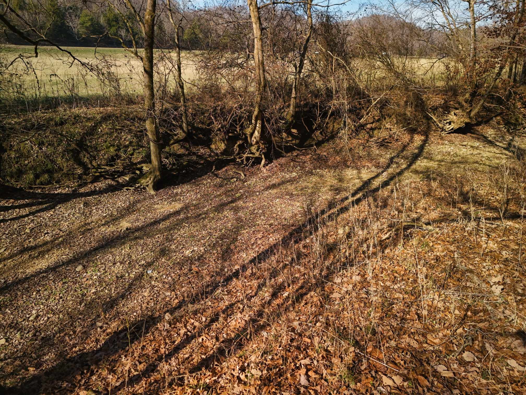 2400 Chicken Creek Road Pulaski, TN 38478 - Photo 20 of 28 a view of a yard with wooden fence