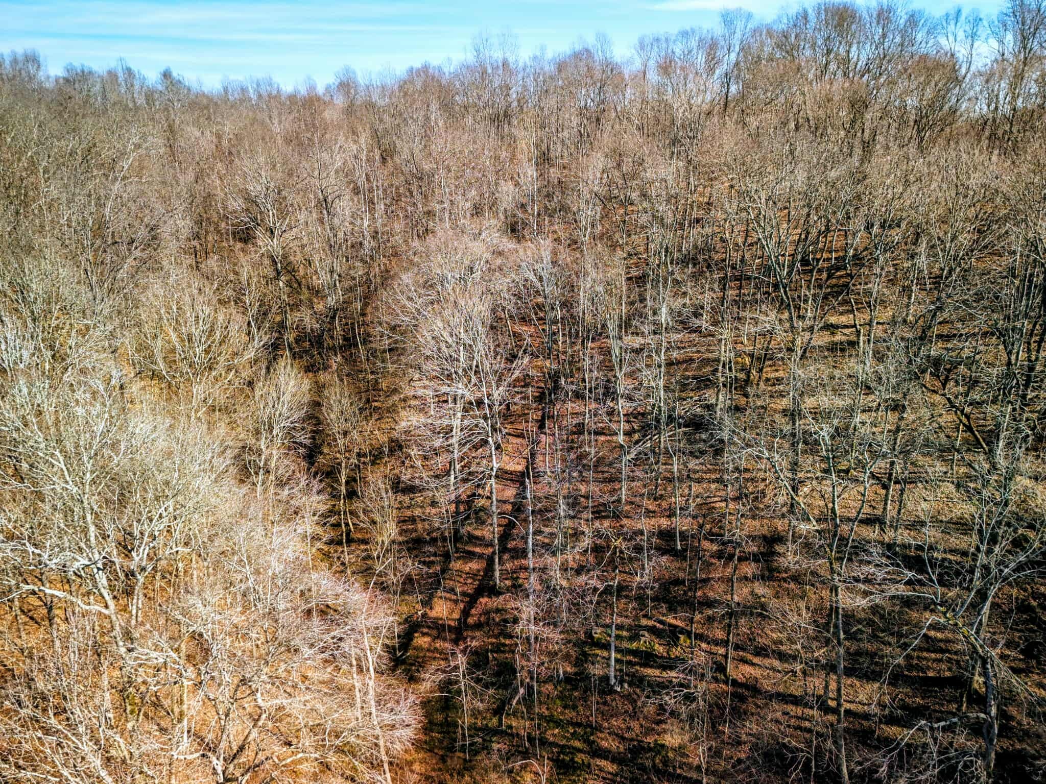 2400 Chicken Creek Road Pulaski, TN 38478 - Photo 22 of 28 a view of a yard