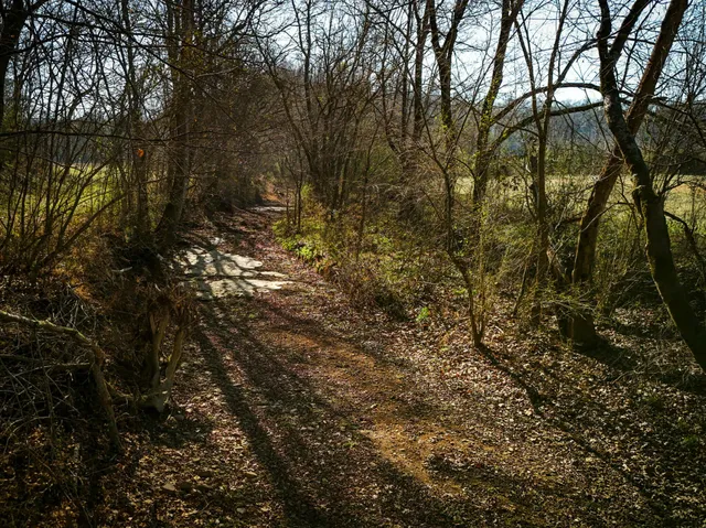 a close up of a wall with a mirror