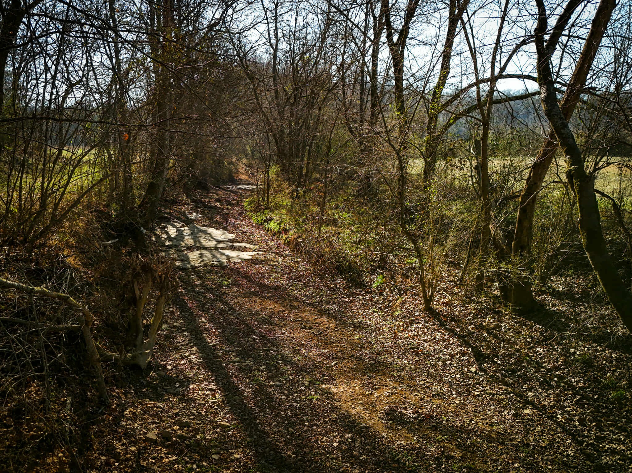 2400 Chicken Creek Road Pulaski, TN 38478 - Photo 23 of 28