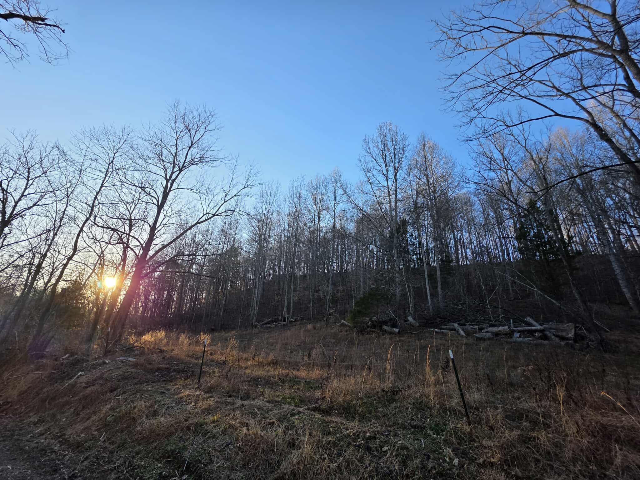 2400 Chicken Creek Road Pulaski, TN 38478 - Photo 24 of 28 a view of backyard with green space