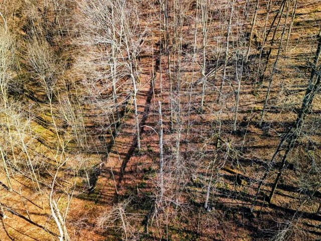 a view of a yard with wooden fence